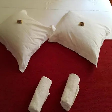 Slika 4* Milna (Brac)